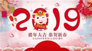 新年將至，恭祝您豬年大吉大利，萬事如意！